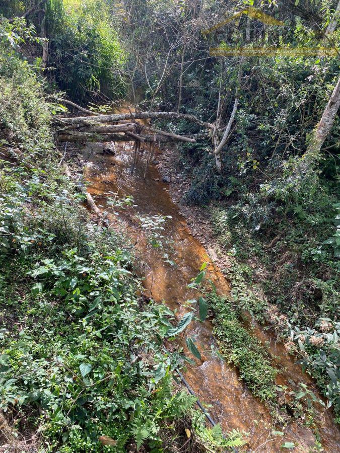 WhatsApp Image 2025-06-11 at 15.41.43.jpeg